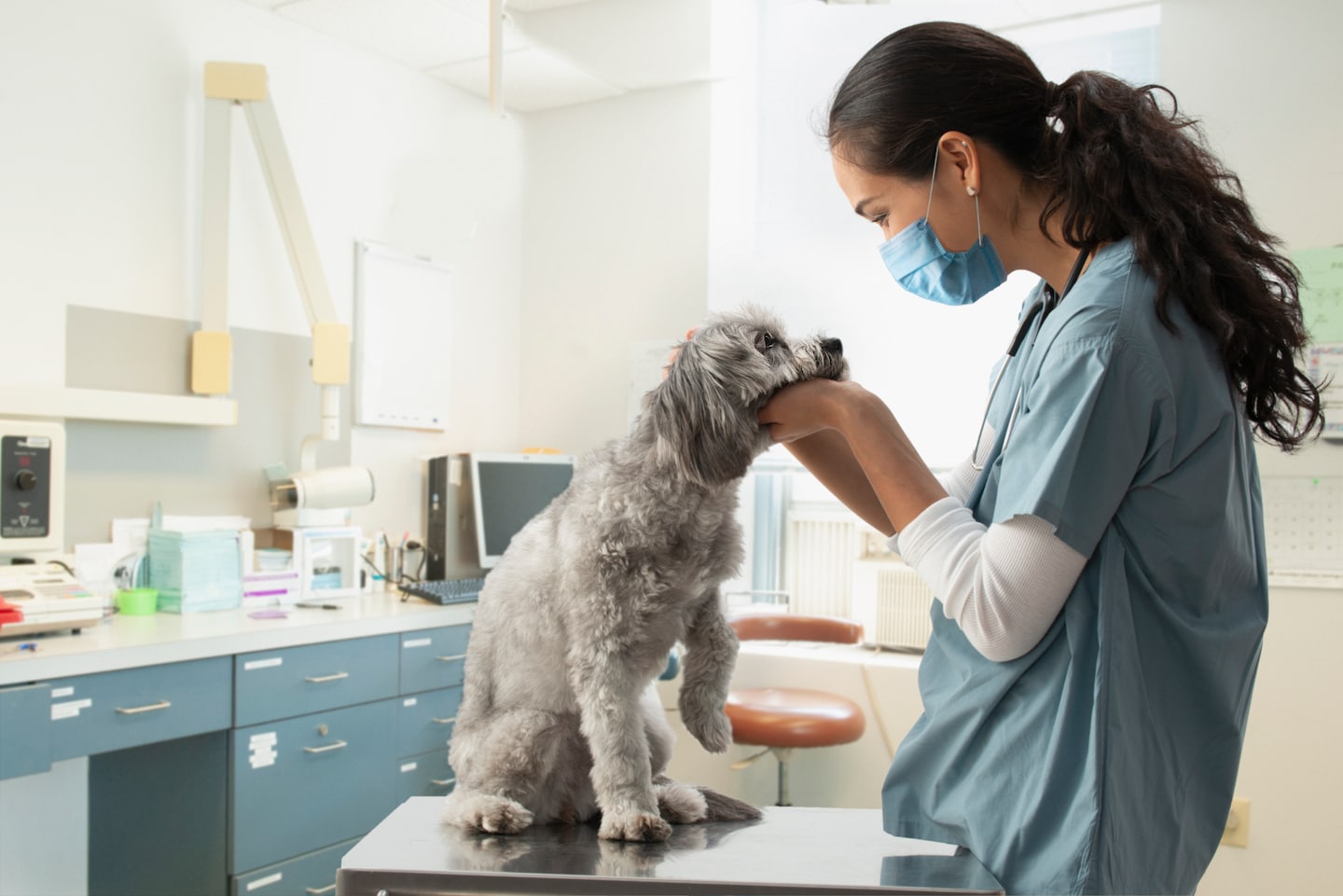 How to find a great veterinarian who won’t wreck your budget – The Washington Post