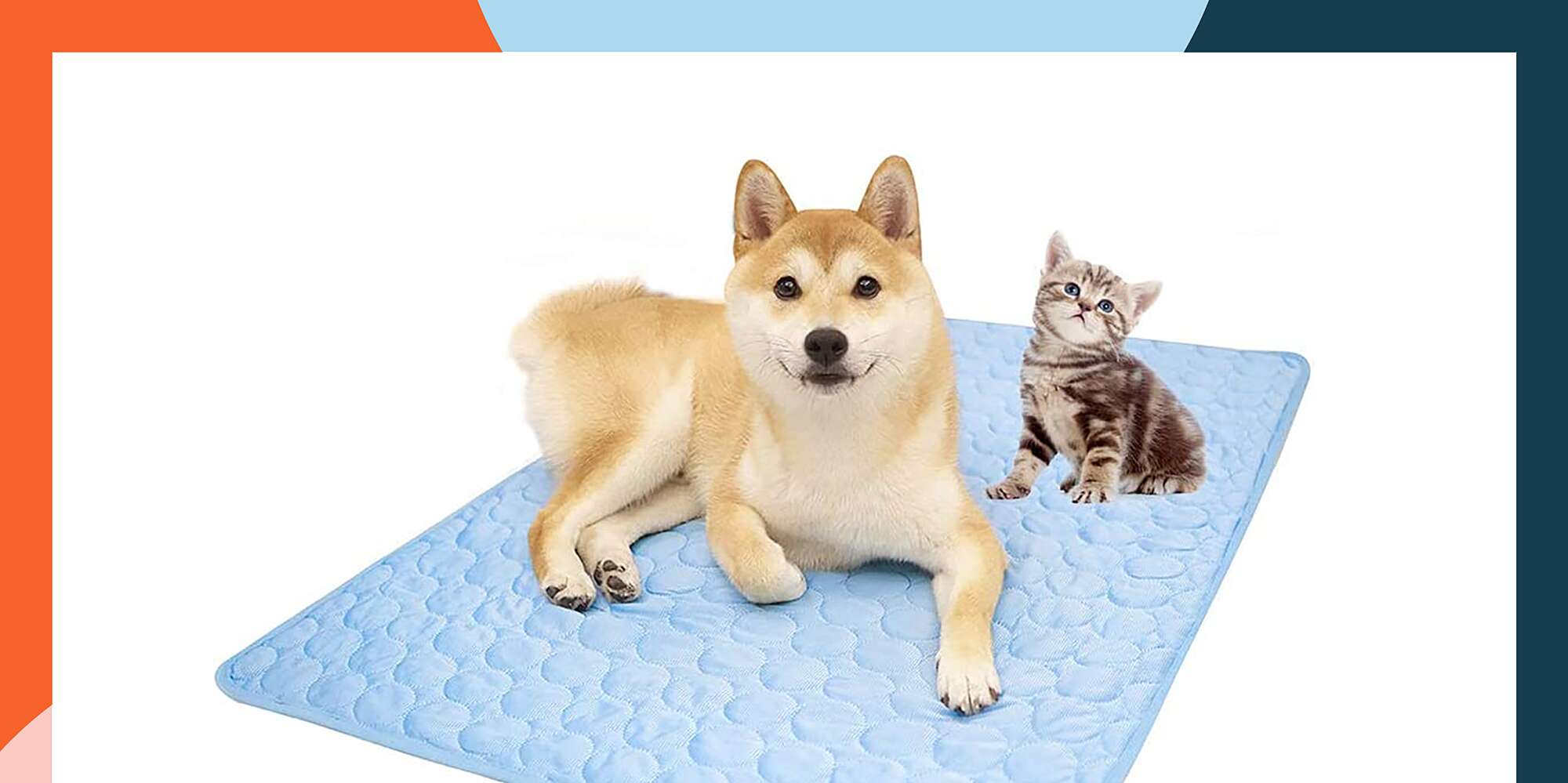 This Cooling Dog Bed Is Just $15 at Amazon – PEOPLE