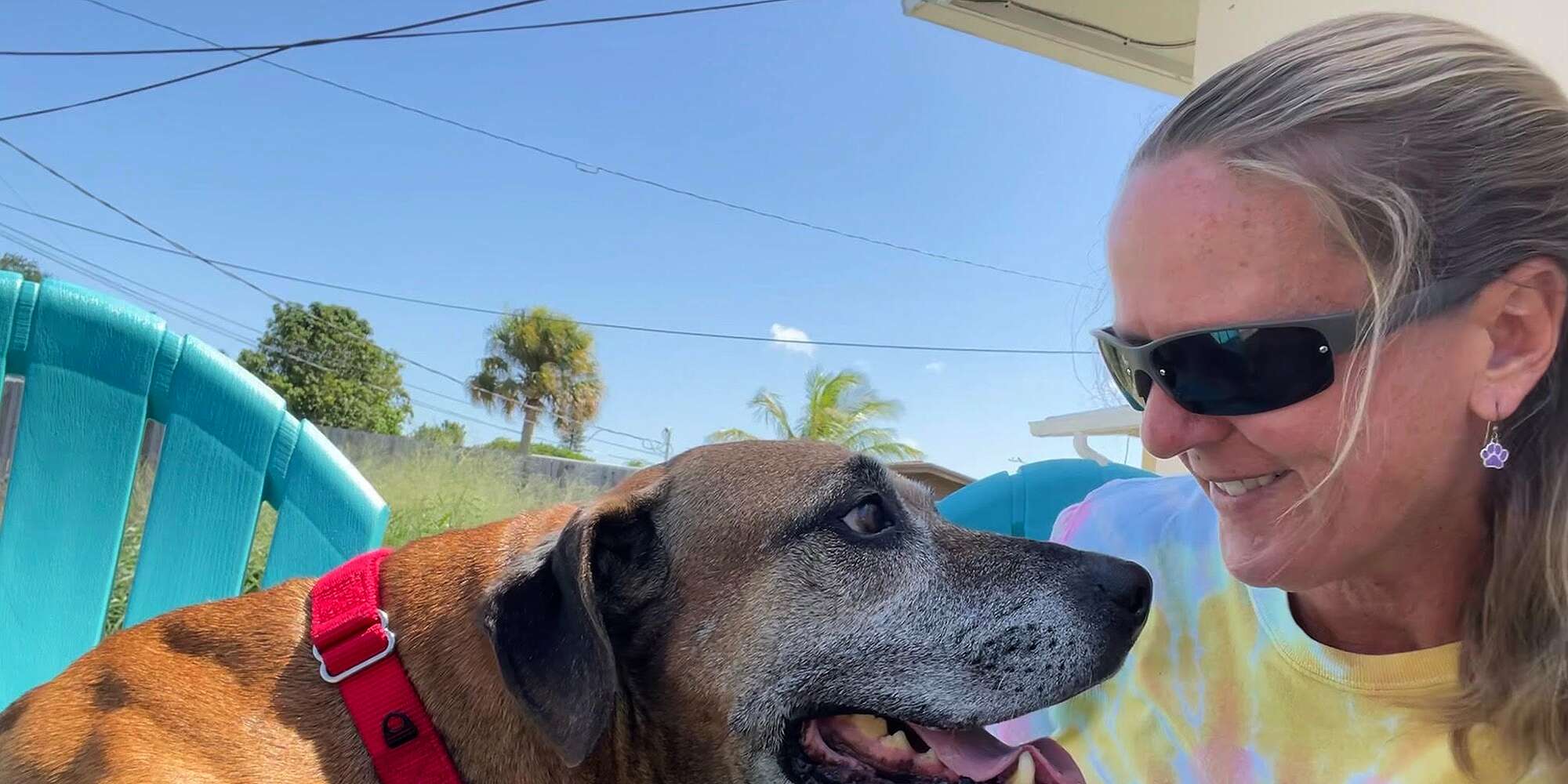 Florida Dog Who Struggled with 'Stranger Danger' Finds Ideal Home After 8 Years in Shelter – PEOPLE