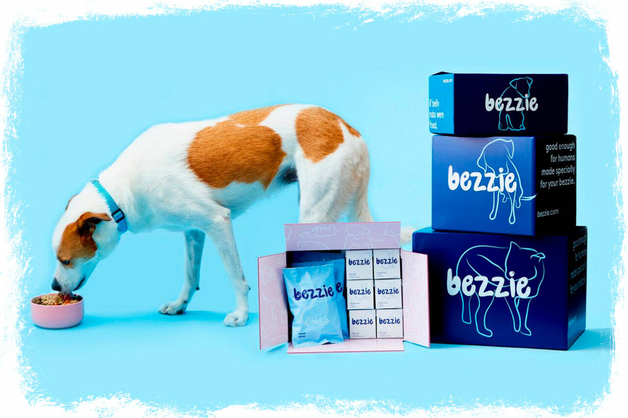 Bezzie Reviews – Quality At-Home Dog Food Delivery That Works? – Bellevue Reporter