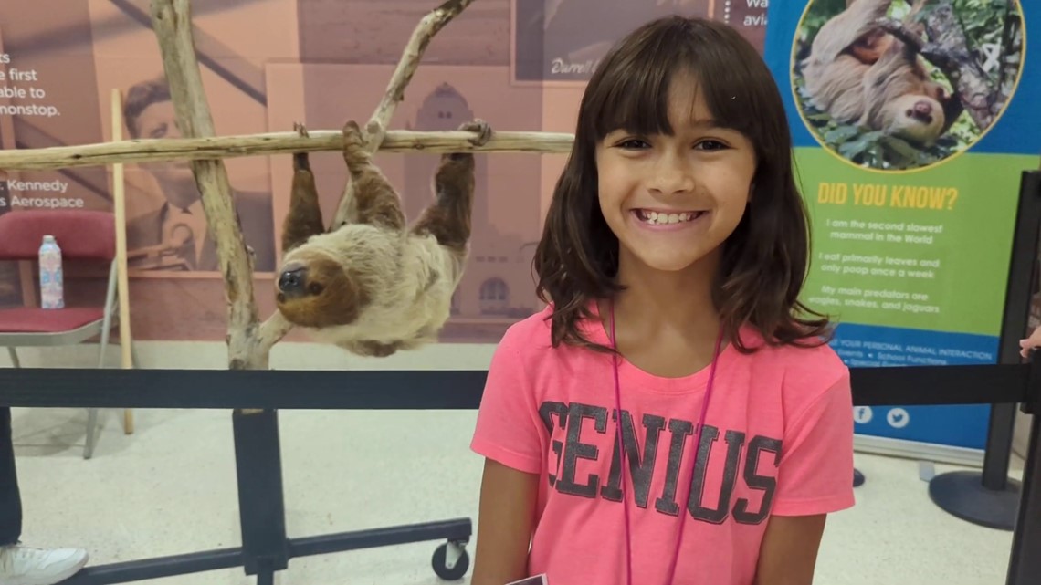 Wild animals at the San Antonio Airport ready to greet passengers – KENS5.com