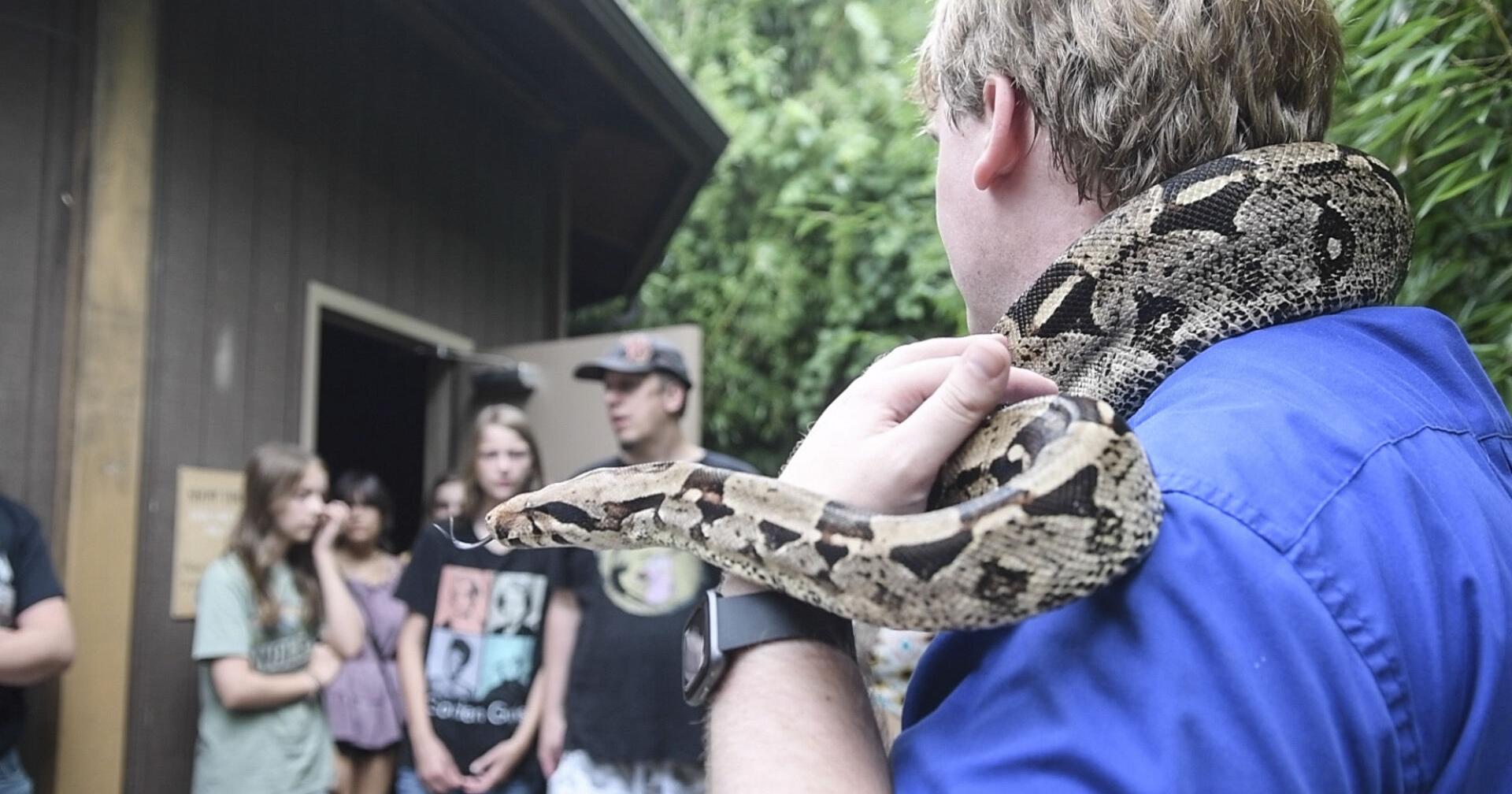 Reptiland, at 58 years, a staple of Greater Susquehanna Valley – Sunbury Daily Item