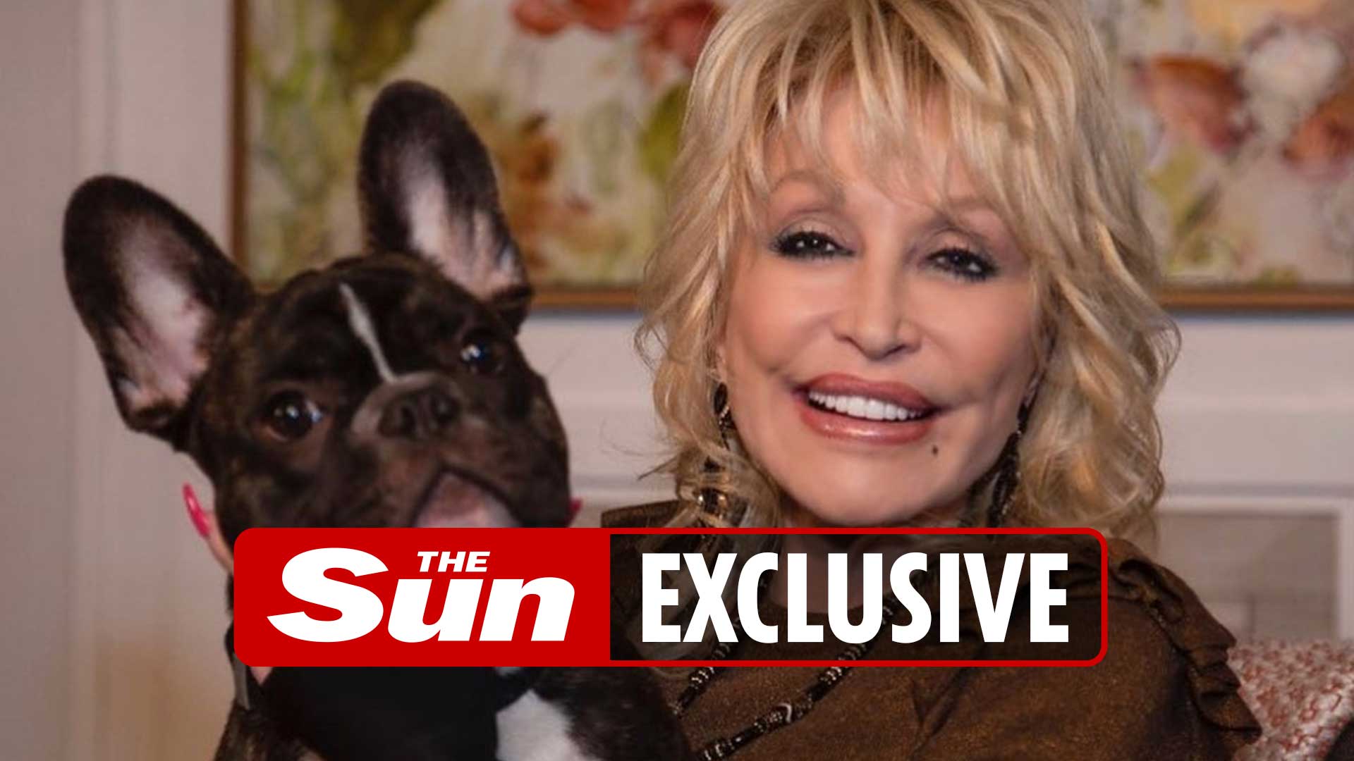 Dolly Parton is releasing a range of canine clothing and bedding called Doggy Parton… – The Sun