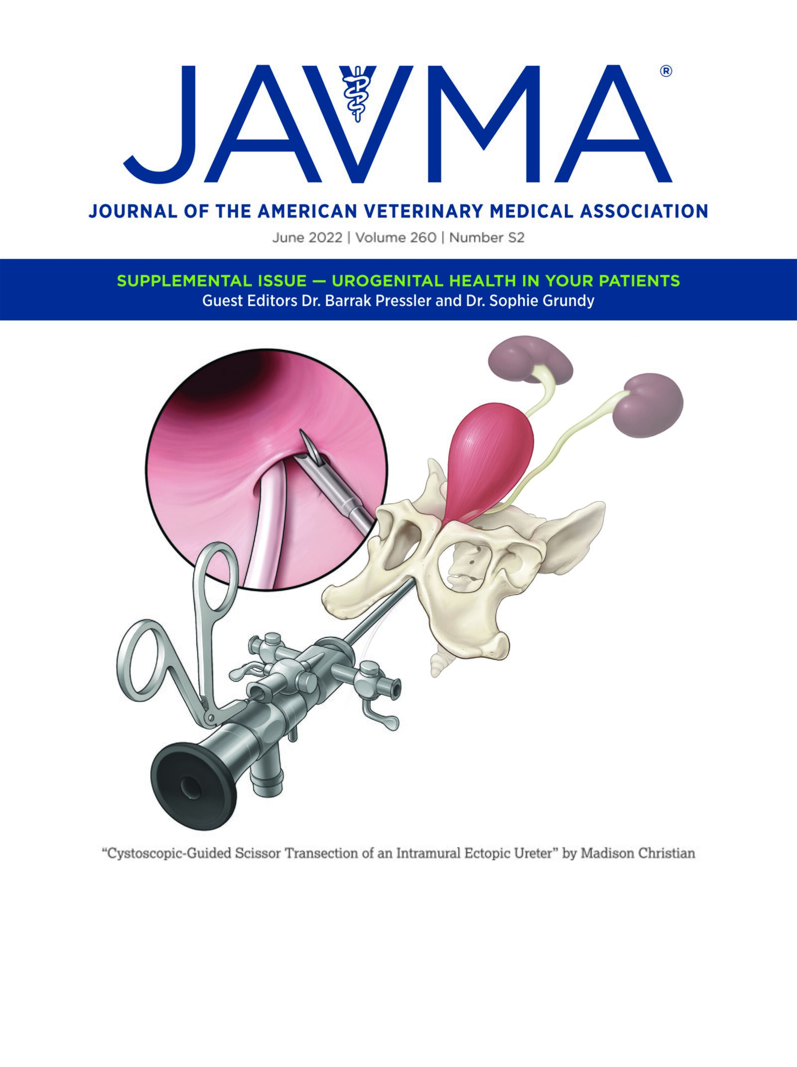 Surgery in a veterinary outpatient community medicine setting has a good outcome for dogs with pyometra – American Veterinary Medical Association