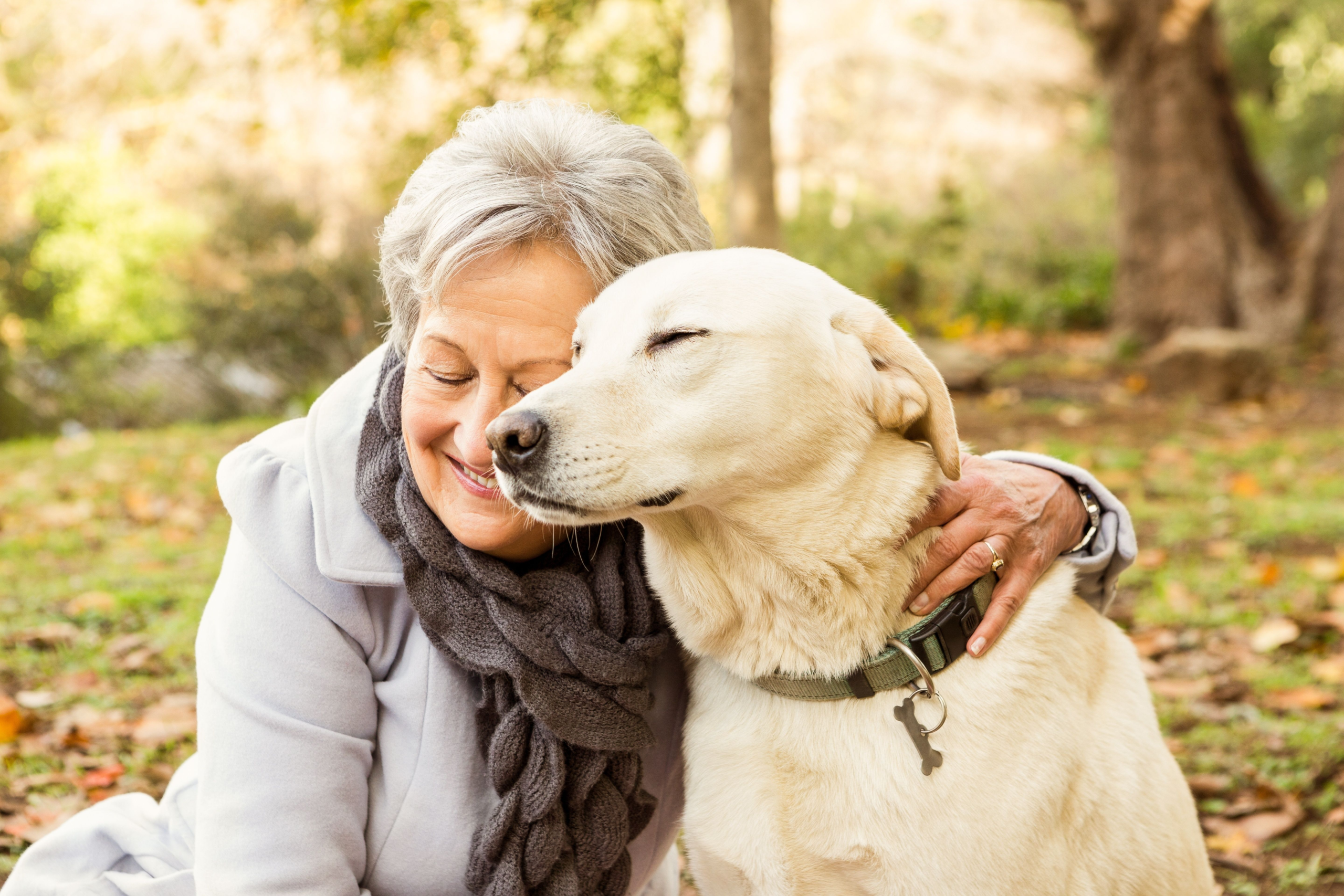 How pet owners define a “good death” – DVM 360