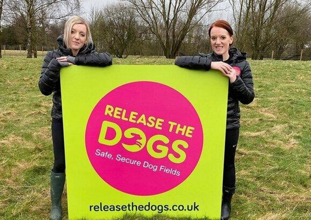 Dog exercise business near Preston left in limbo after councillors hear 'chicken slaughter' claim – Lancashire Evening Post