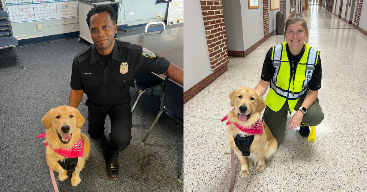 Milwaukee police welcome new facility service dog, CRUSH – TMJ4 News