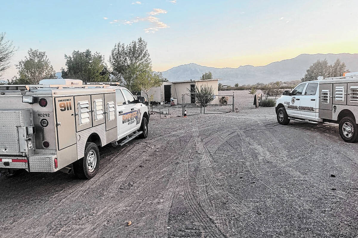 Nye County dogs rescued from abusive home get help from shelter, ASPCA – Las Vegas Review-Journal