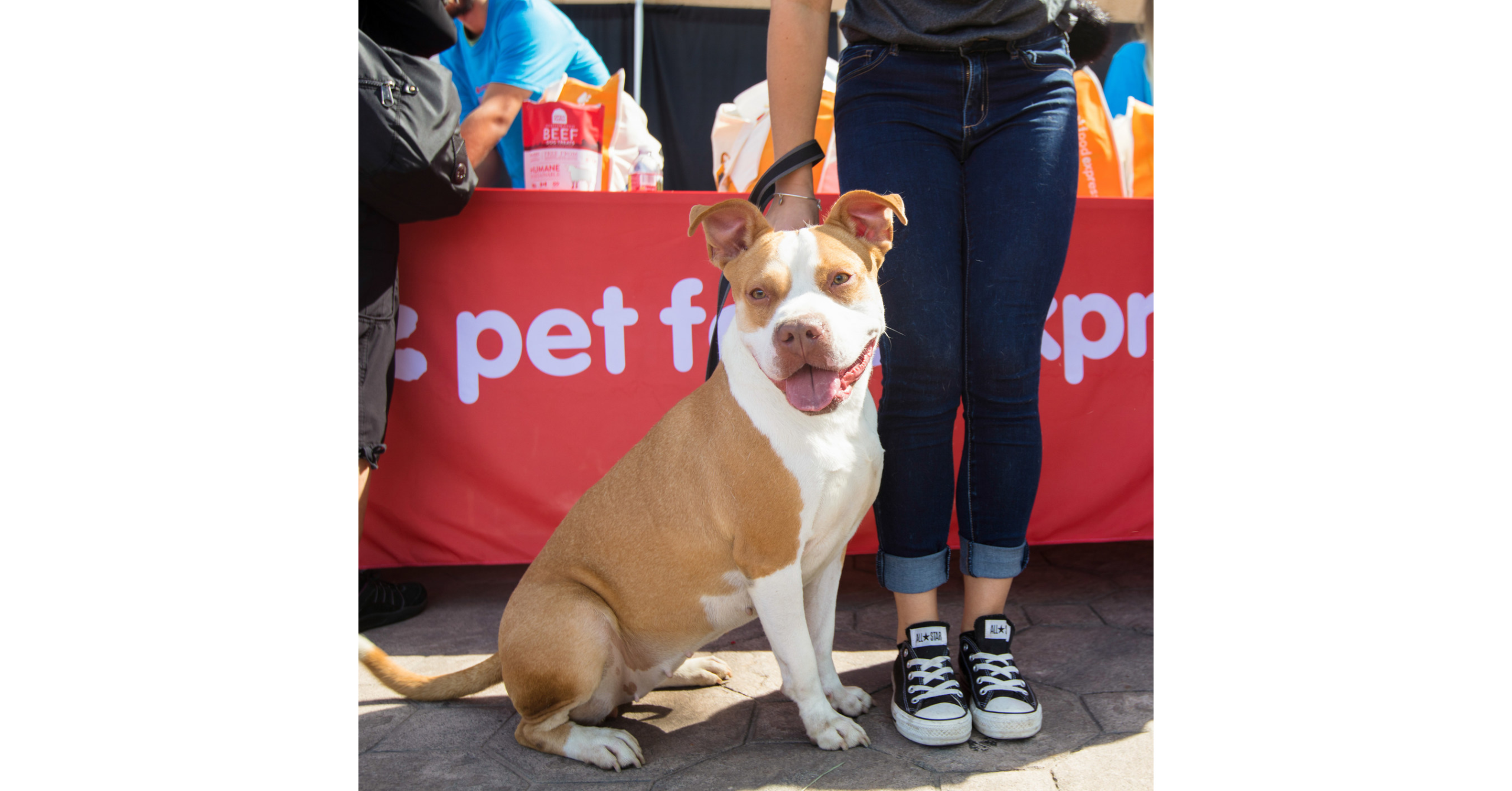 PET FOOD EXPRESS HOSTS MONTH-LONG VIRTUAL PET FAIR PLUS SPECIAL PET ADOPTION EXTRAVAGANZA EVENTS IN ALL STORES SEPTEMBER 24 & 25 – PR Newswire