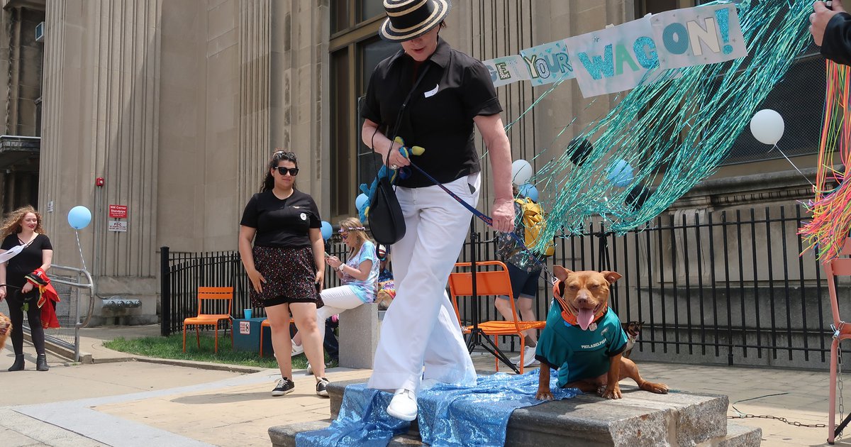 Enter your dog into a fashion show during East Passyunk's pet-friendly festival – PhillyVoice.com