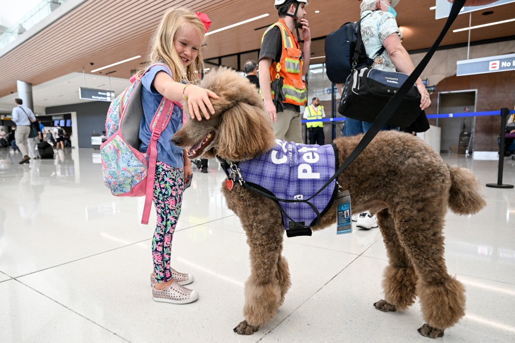 PHOTOS: DIA dog therapy team just got a Guinness world record – The Denver Post