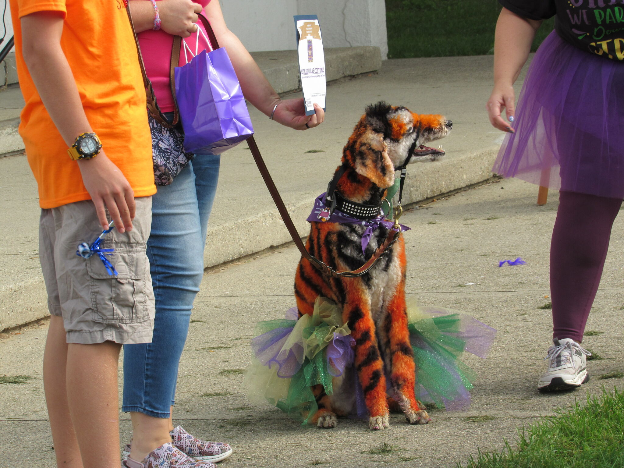 Midland's Bark for Life honors canine caretakers from across the region – Midland Daily News