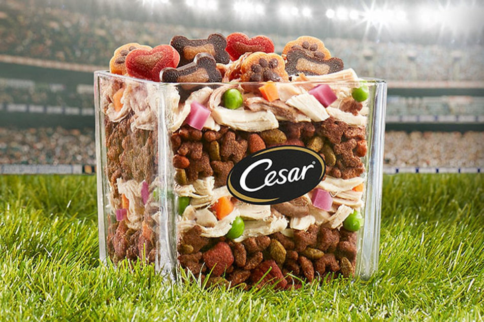 CESAR debuts new dog food menu concept – Pet Food Processing