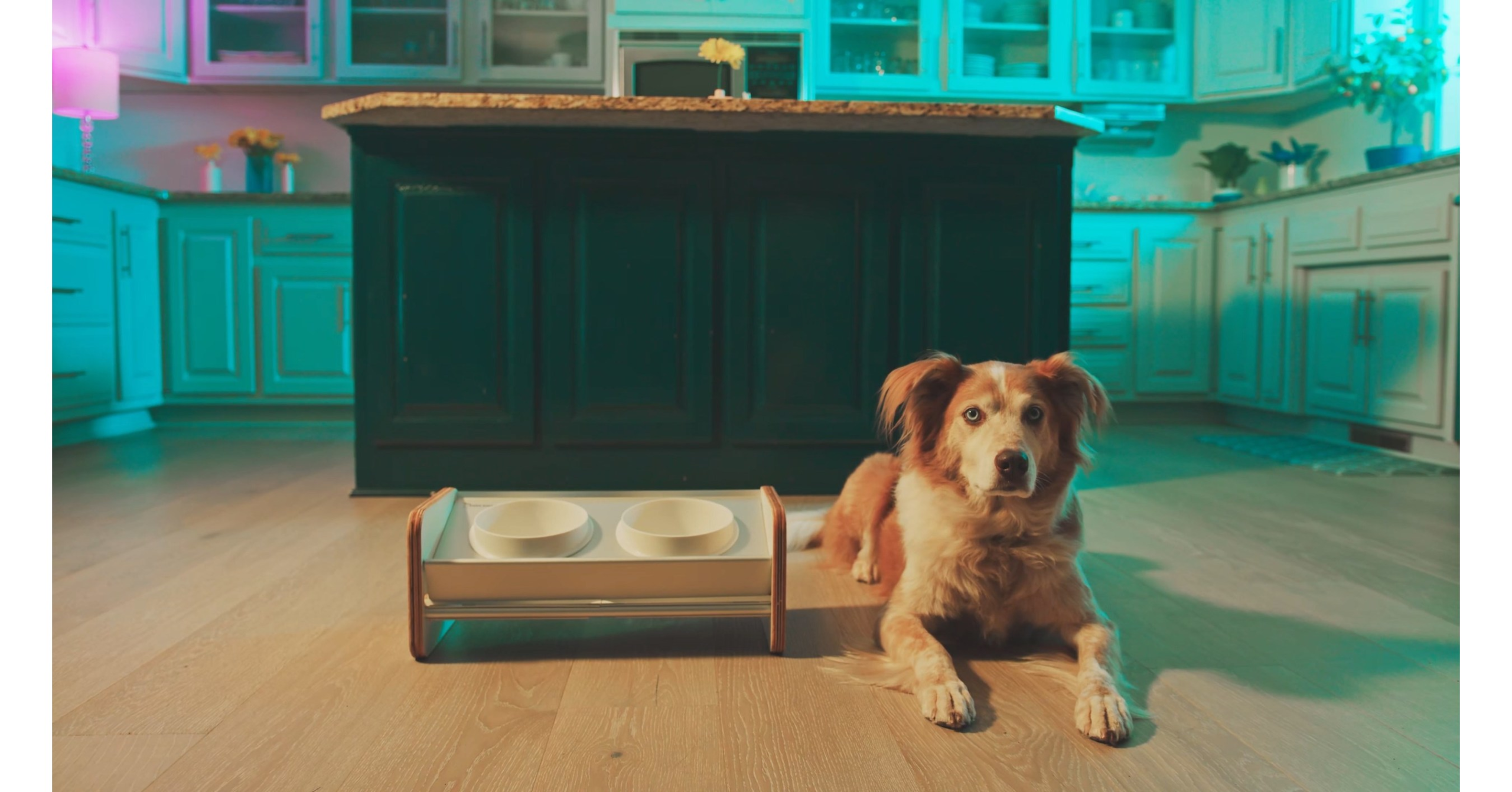 Innovative Dog Product Company Wins European Product Design Award For Their New, Attractive and Mess-Free Dog Bowls – PR Newswire