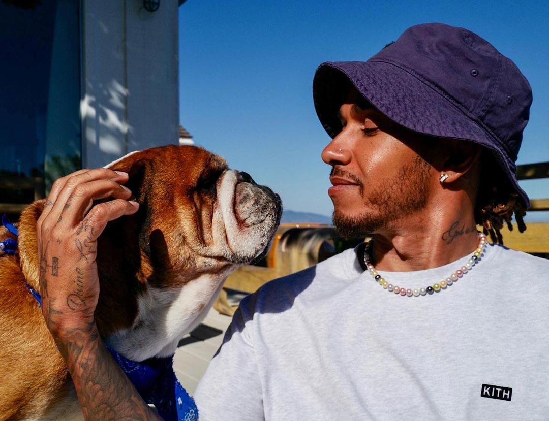 Lewis Hamilton explains how vegan diet has 'changed' his dog's life – Vegan Food and Living