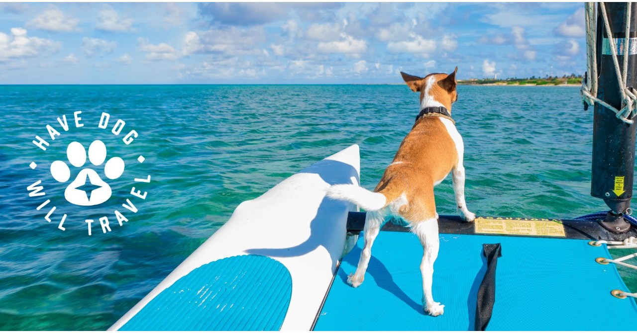 Pup's Welcome: Aruba Invites Pet Parents and their Dogs to Experience The Aruba Effect with 'Have Dog, Will Travel' – PR Newswire