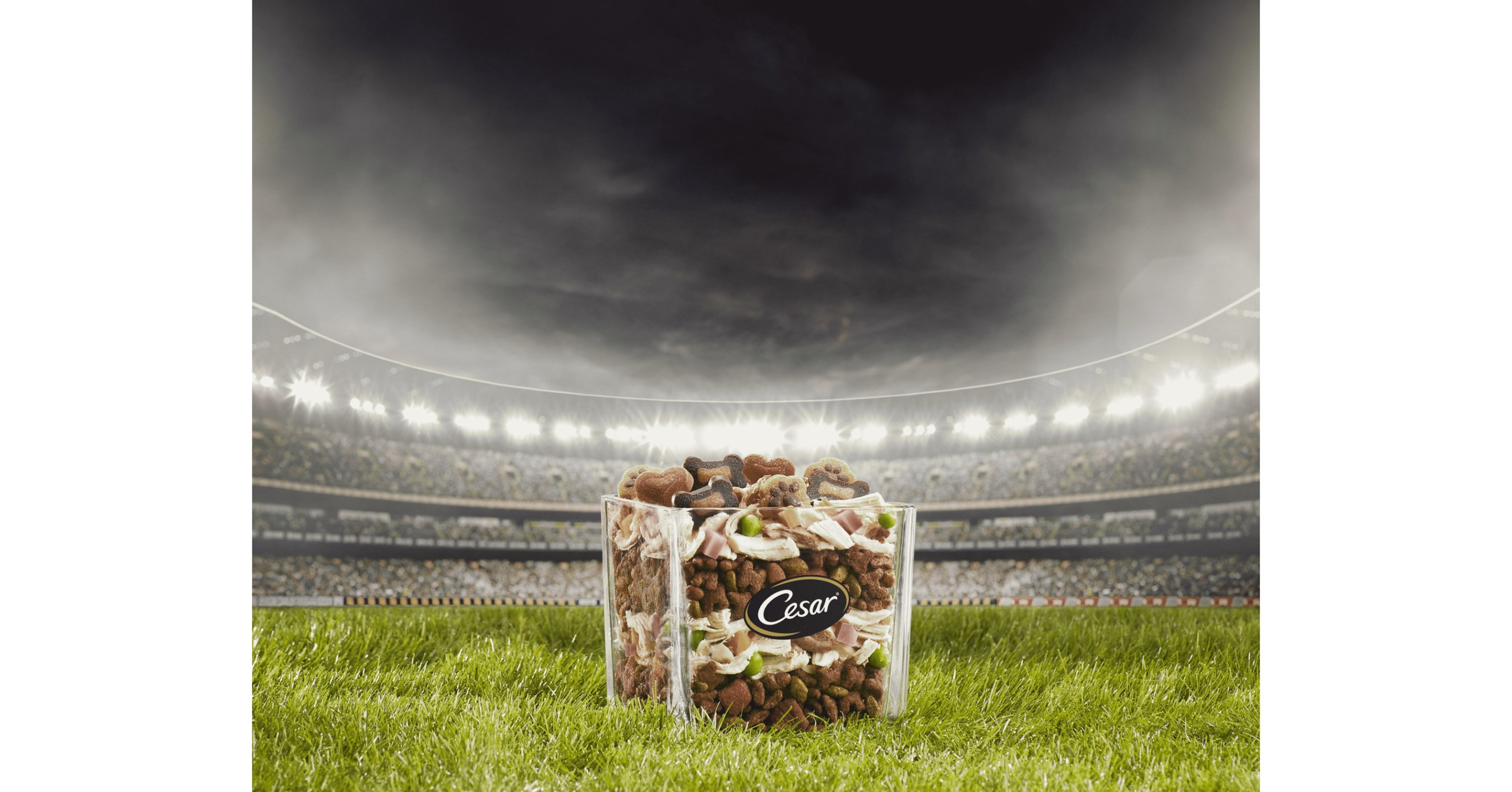 THE CESAR® BRAND CREATES A GAME DAY SPREAD FOR DOGS, INSPIRED BY FAN-FAVORITE FLAVORS – PR Newswire