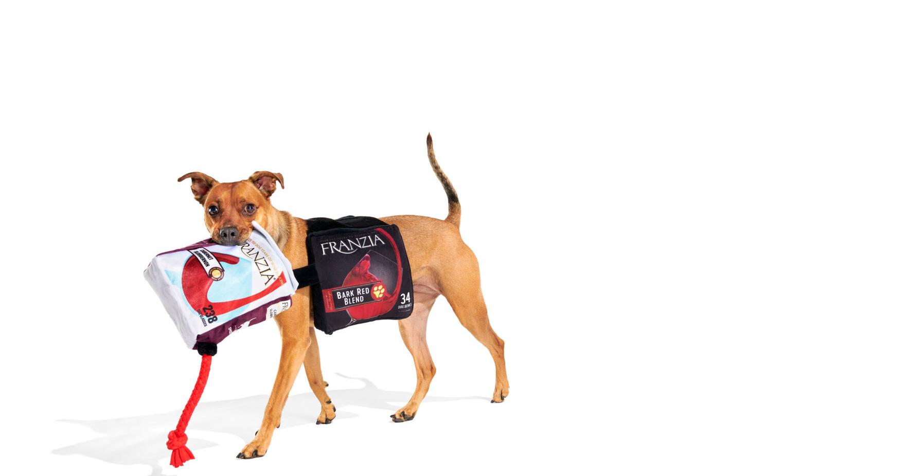 Franzia Wines x BARK Collab to Deliver “Boos” This Halloween via “BARK Red Blend” Dog Costume and BarkBoxed Wine Toy – Joplin Globe