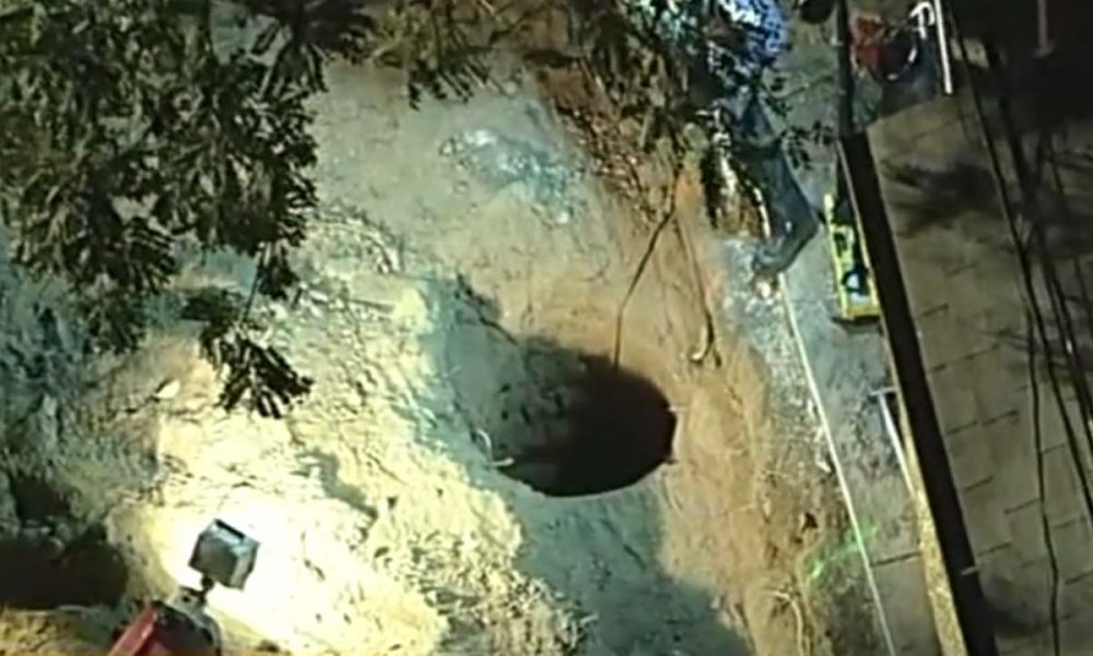 Blind Dog Freed from Hole by Rescuers at SoCal Construction Site – gvwire.com