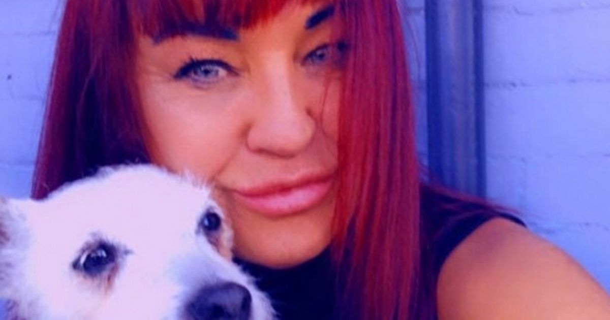 Tragedy as adorable dog mauled to death in Cleethorpes home – Grimsby Live