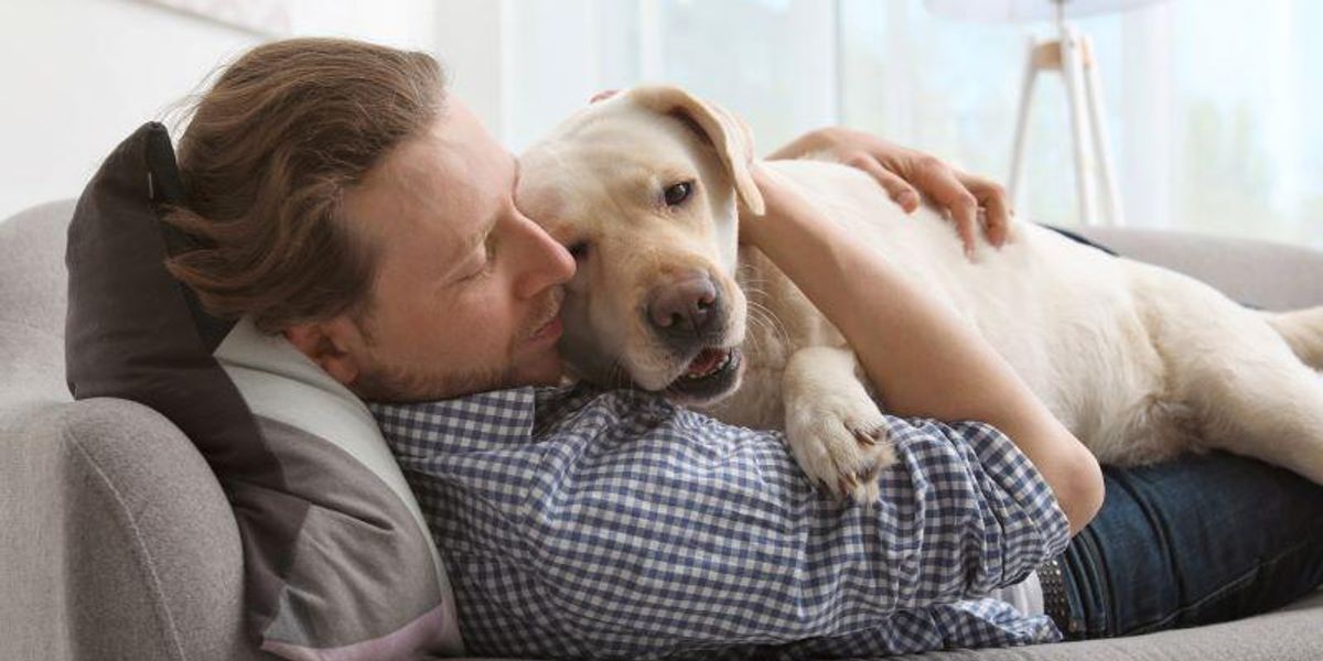 Like Humans, a Dog's Odds for Dementia Rises With Age – HealthDay News