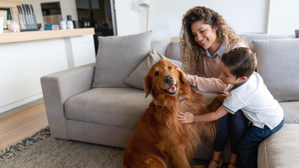 25 Dog Care Tips For Pet Parents – Forbes Advisor – Forbes