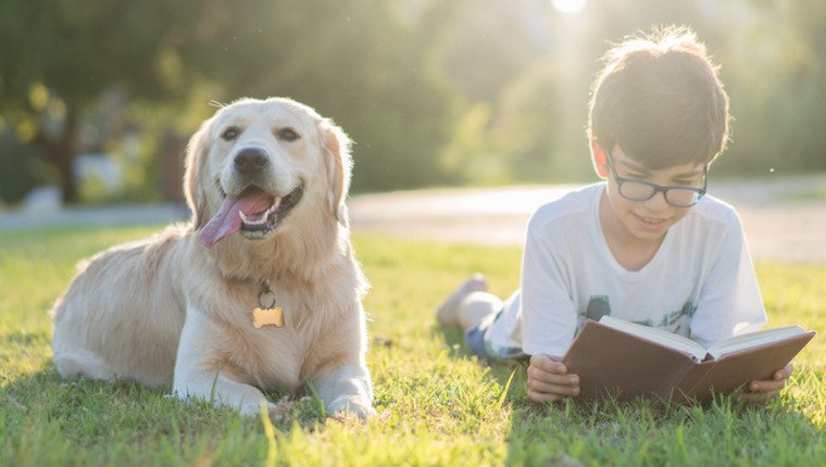 Reading to Dogs Could Help Children Learn – DogTime