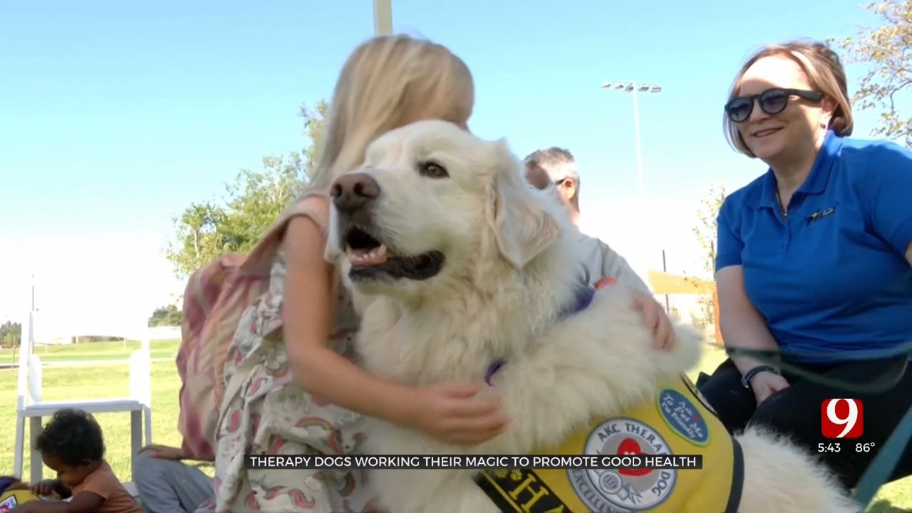 Therapy Dogs Working Their Magic To Promote Good Health – news9.com KWTV