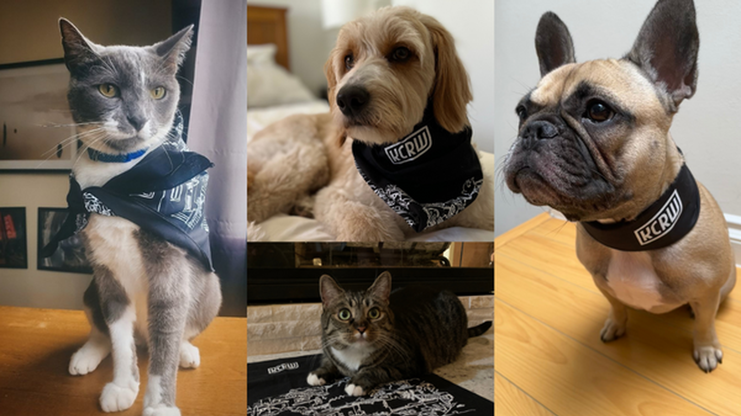 Limited offer on the KCRW bandana and pet shoutouts! – KCRW