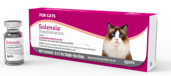 Zoetis debuts US launch of Solensia to manage feline OA pain – DVM 360