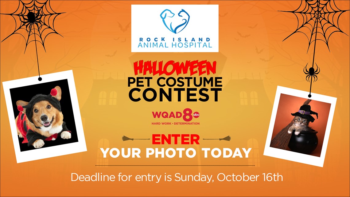 Halloween Pet Costume Contest – Official Rules | wqad.com – WQAD Moline