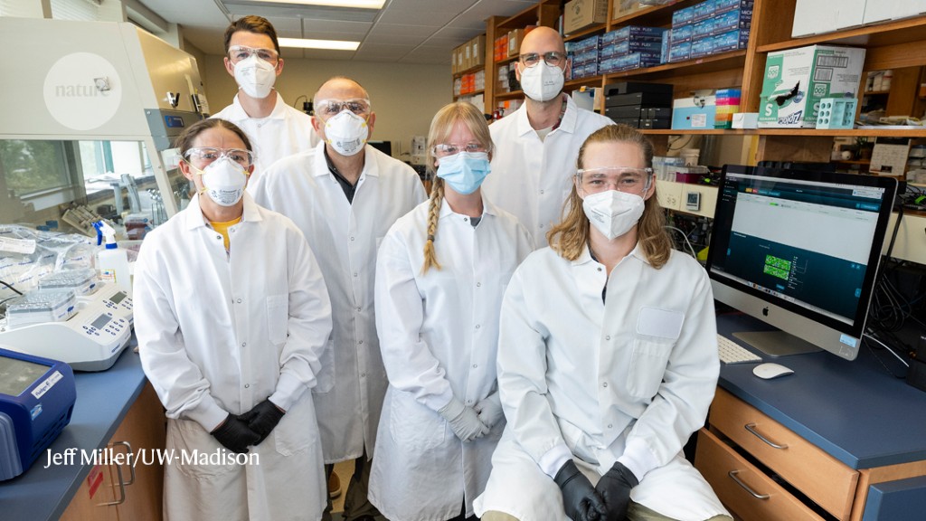 These scientists traced a new coronavirus lineage to one office — through sewage – Nature.com