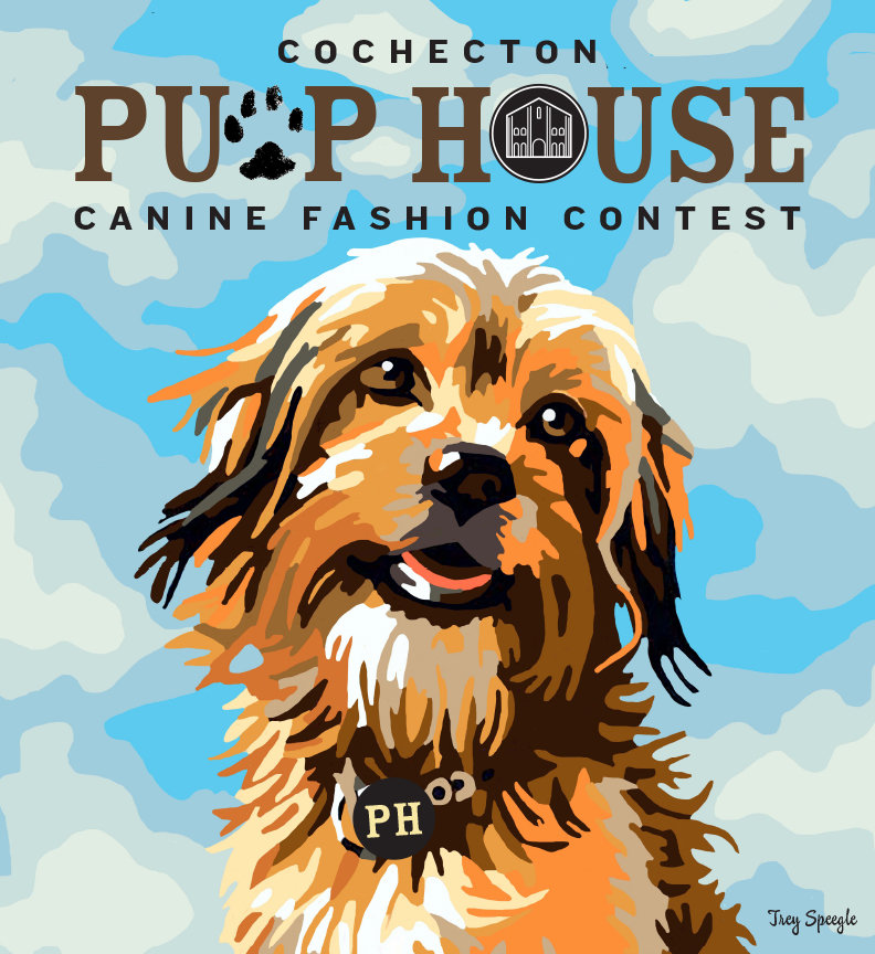 Canine fashion contest at the Pump House – The River Reporter