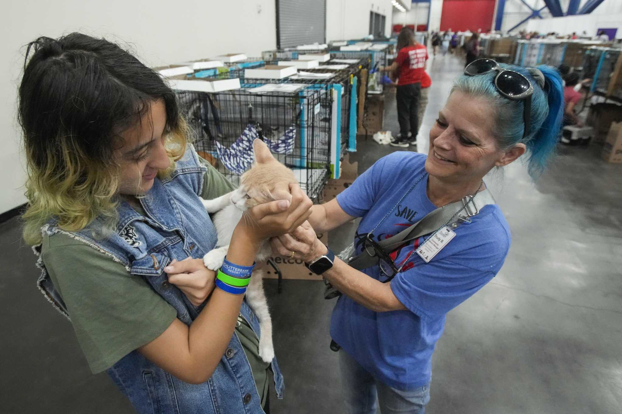 Houston hosts mega pet adoption to ease critically overrun shelters – Houston Chronicle