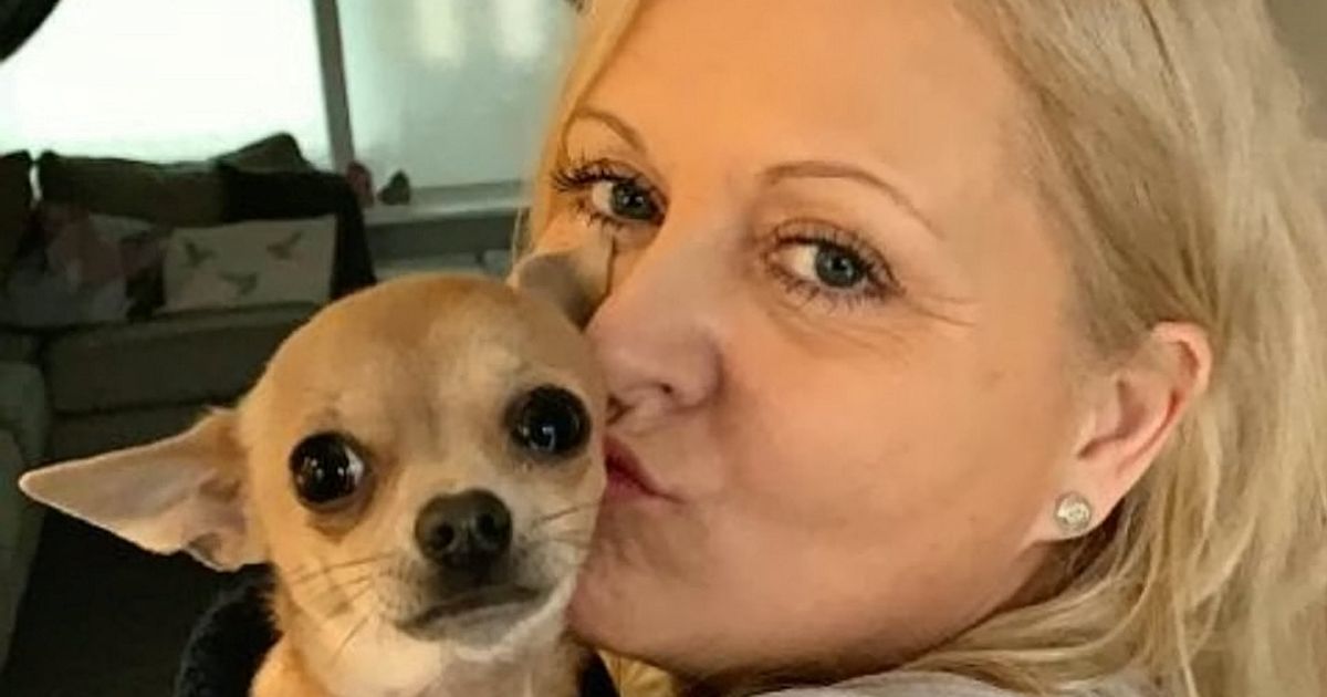 Sleeping mum left in hospital after dog pooed in her face – Bristol Live