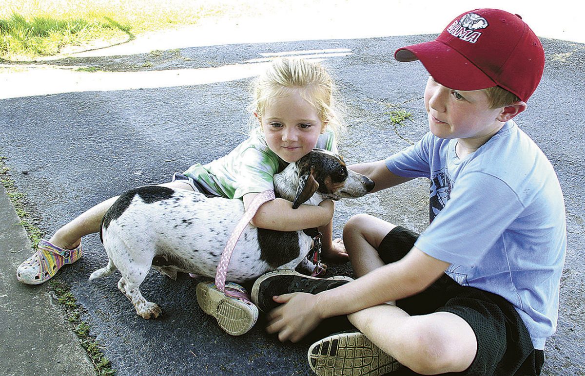 DOG DAYS OF SUMMER – NWTN Today – Weakley County Press