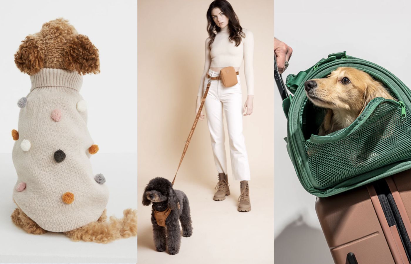 7 brands that make stylish stuff for dogs, from leashes and sweaters to beds – In The Know