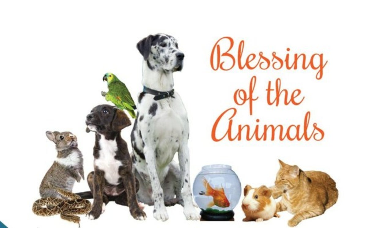 Pet Blessings in the Spirit of St. Francis of Assisi – AD Today