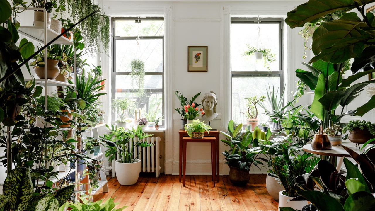 Indoor Plants Liven Up These 6 Homes | Architectural Digest – Architectural Digest