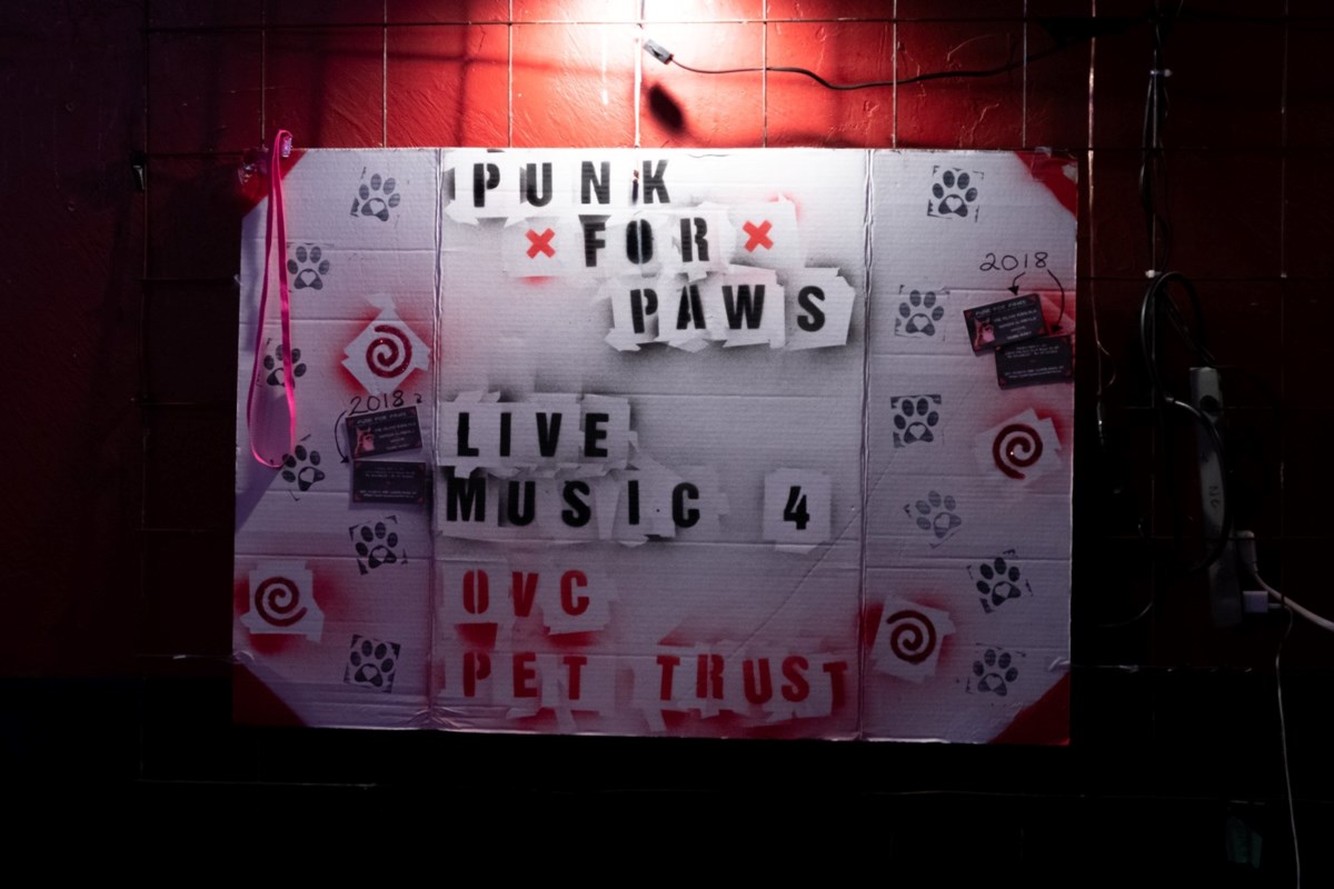 Punk for Paws comes to Guelph – Guelph News – GuelphToday