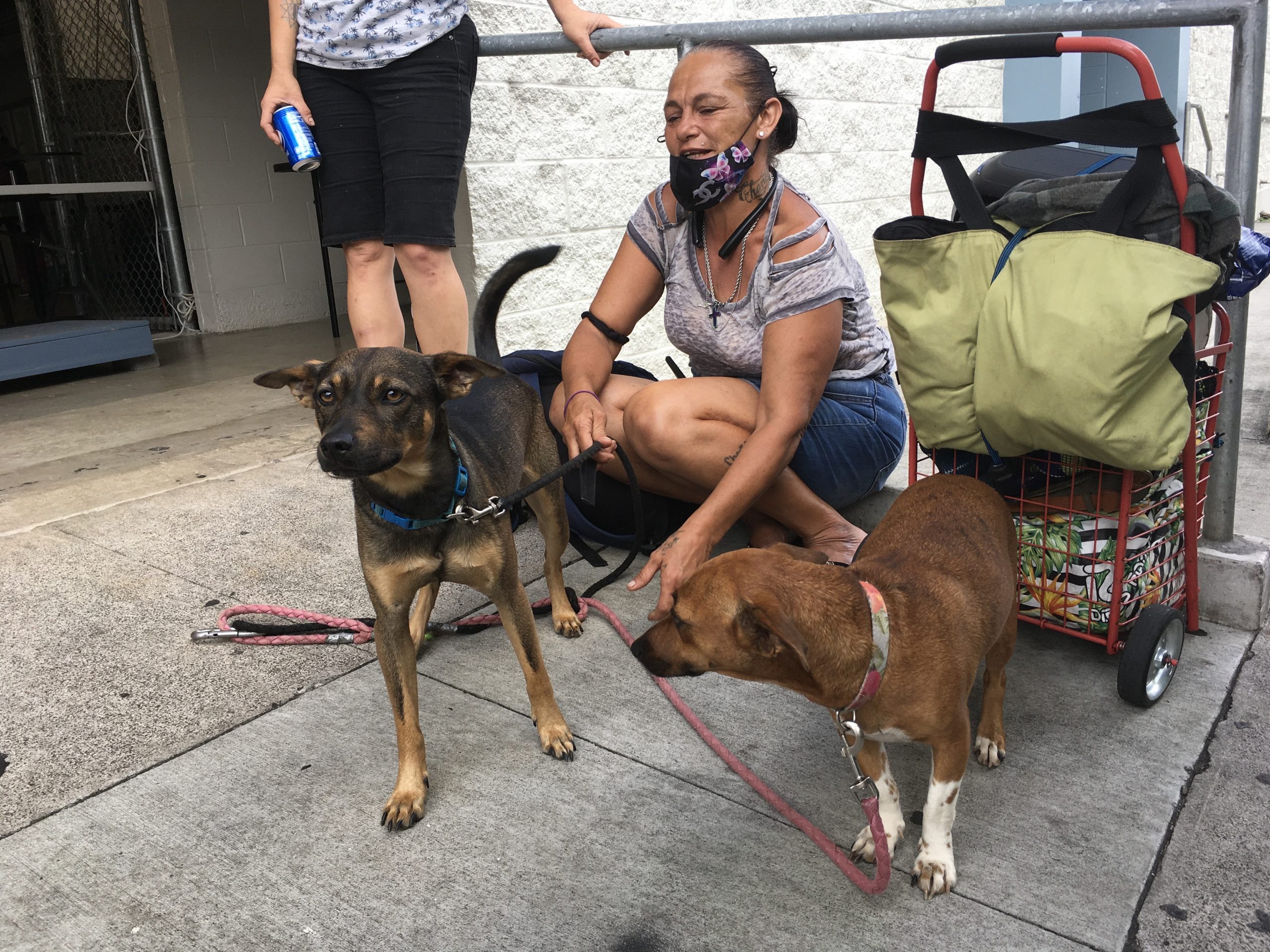 Catherine Toth Fox: Why We Shouldn't Judge Homeless People Who Have Pets – Honolulu Civil Beat