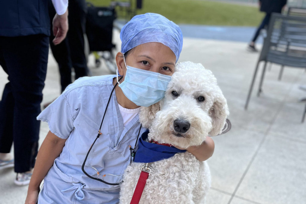 BC Children's Hospital launches pet therapy program tailor-made for health-care staff – Today In BC – Today In BC – Today In BC