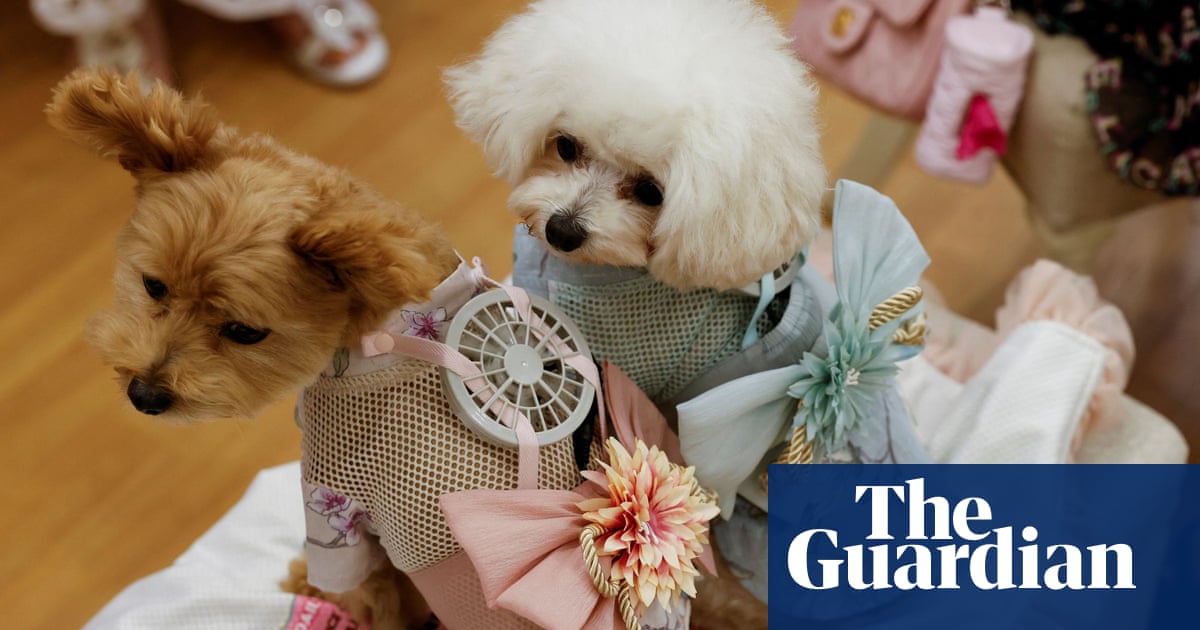 Wearable fans help Japan’s hot dogs beat the heat – The Guardian