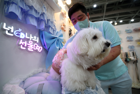 Fido and Princess cash in on Korea's Chuseok holiday festivities – The Korea JoongAng Daily