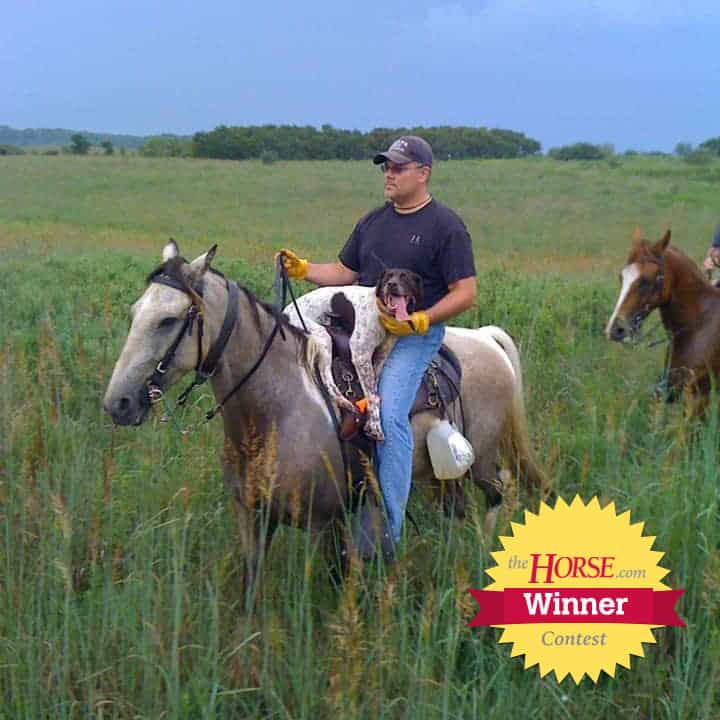 TheHorse.com Announces 'Best Barn Dog' Contest Winner – The Horse – TheHorse.com