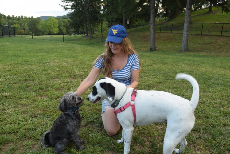 Wheeling's Newest Dog Park a Hit With Pooches, Owners – Wheeling Intelligencer