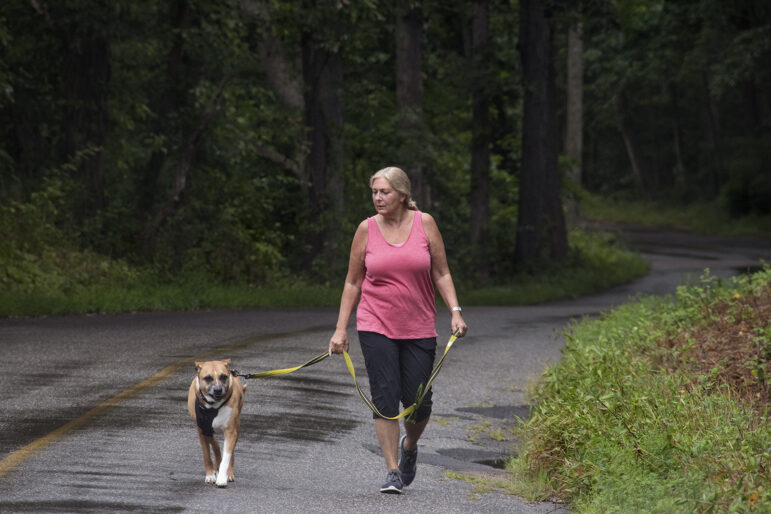 Yale-led study aims to transform heart disease diagnosis in women – The Connecticut Mirror