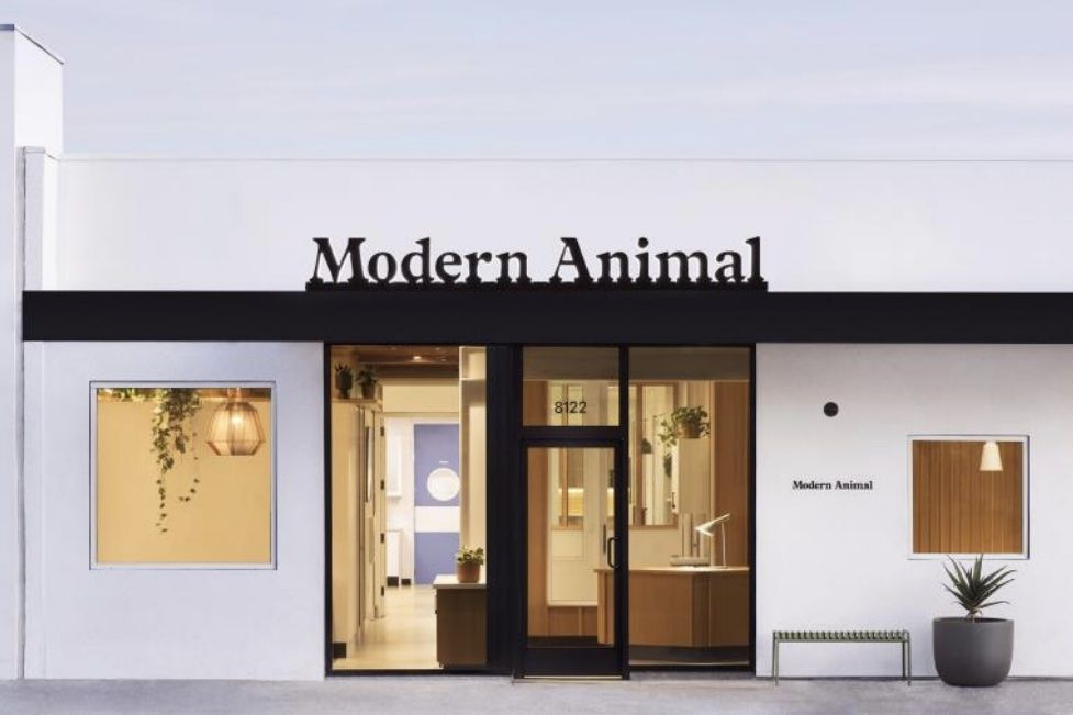 Veterinary clinic looks to move into The North Face's former building – Mountain View Voice