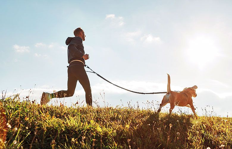 What your pet's health can tell you about your own | Produced by Seattle Times Marketing – The Seattle Times