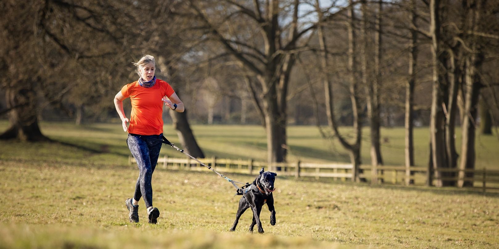 Running with a dog lead: how to do it correctly – runnersworld.com